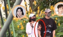 娱乐号爆料杨迪视频大全,娱乐号爆料，笑料百出，精彩瞬间回顾